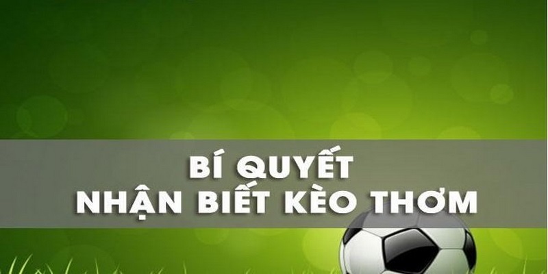 Bật Mí Những Kinh Nghiệm Bắt Kèo Thơm Từ Cao Thủ I9bet - silox