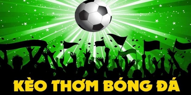 Bật Mí Những Kinh Nghiệm Bắt Kèo Thơm Từ Cao Thủ I9bet - silox