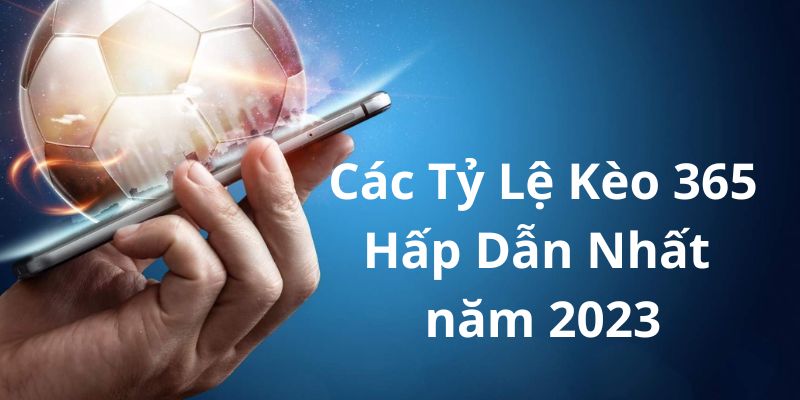 Kèo 365 - Chuyên Trang Review Nhà Cái Uy Tín Nhất Năm 2026 - silox