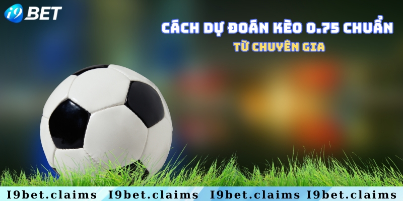 Kèo 0.75 là gì? Kinh nghiệm đánh kèo bóng chấp chuẩn - silox