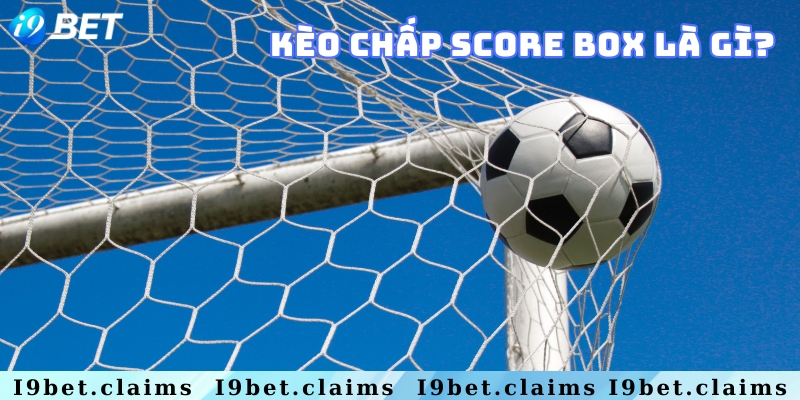 Kèo chấp score box là gì? Kinh nghiệm đặt cược siêu hiệu quả  - silox
