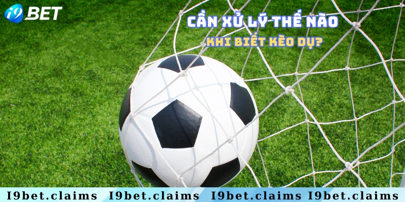 Kèo dụ là gì? Giải đáp chi tiết kèo bóng đá cho newbie - silox