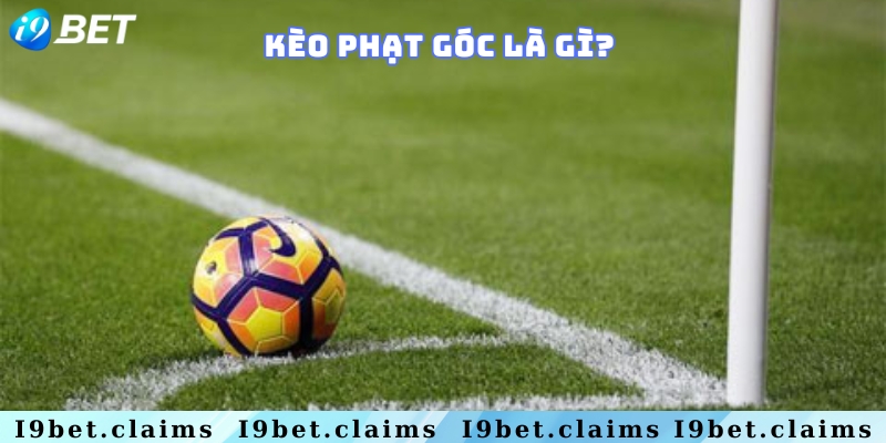 Kèo phạt góc là gì? Cách soi kèo phạt góc cực chuẩn xác - silox