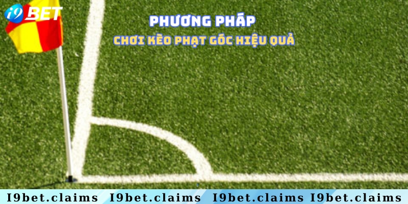 Kèo phạt góc là gì? Cách soi kèo phạt góc cực chuẩn xác - silox