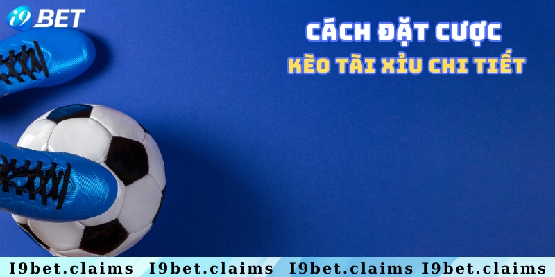 Kèo tài xỉu là gì? Hướng dẫn chi tiết cách đọc và đặt cược - silox