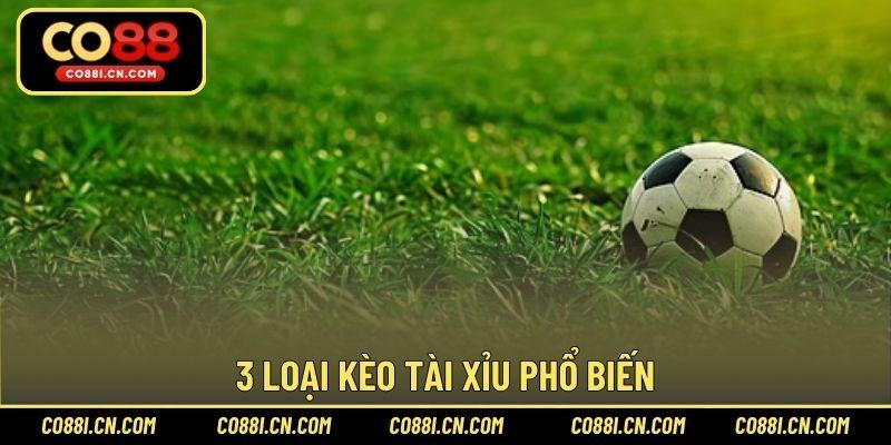 Kèo Tài Xỉu – Tỷ Lệ Cá Cược Đáng Chơi Tại Sảnh Thể Thao - silox