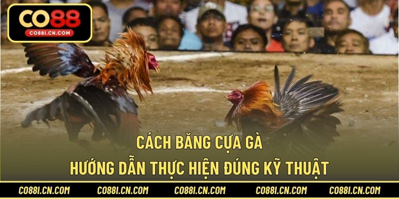 Mơ Thấy Rụng Răng Đánh Số Gì – Giải Mã Giấc Mơ Phổ Biến - silox