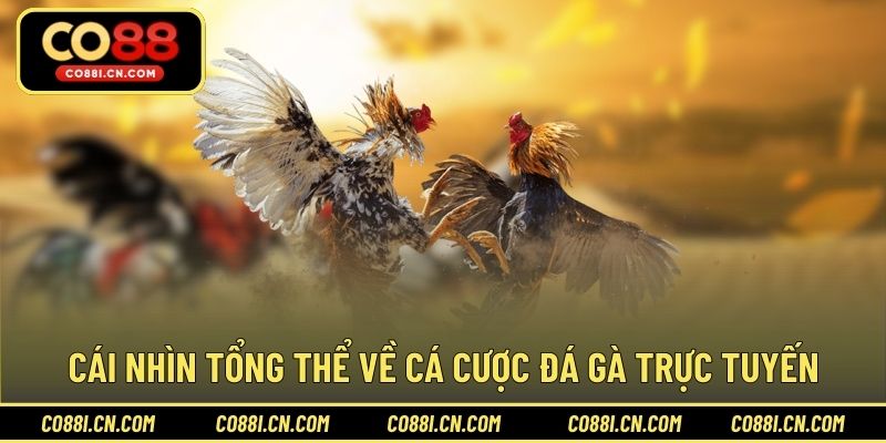Chơi Cá Cược Đá Gà - Bí Quyết Thắng Lớn Dễ Dàng Tại CO88 - silox
