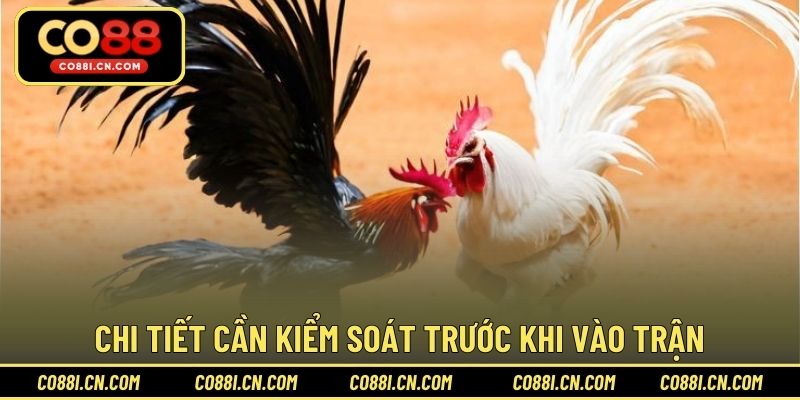 Cách Băng Cựa Gà – Hướng Dẫn Thực Hiện Đúng Kỹ Thuật - silox