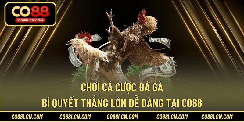 Ưu Đãi Vip Co88 - Đặc Quyền Đẳng Cấp Cho Hội Viên Giá Trị - silox