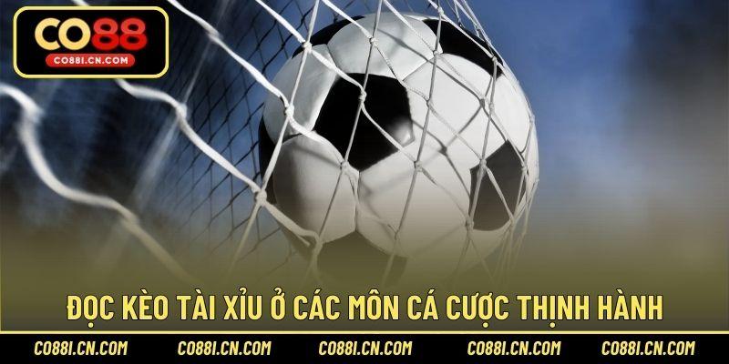Kèo Tài Xỉu – Tỷ Lệ Cá Cược Đáng Chơi Tại Sảnh Thể Thao - silox
