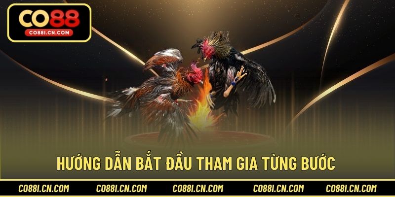 Chơi Cá Cược Đá Gà - Bí Quyết Thắng Lớn Dễ Dàng Tại CO88 - silox