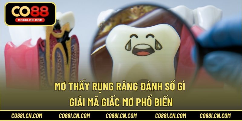 Bắn Cá Đổi Thưởng – Cơ Hội Săn Xu Đổi Quà Hấp Dẫn Tại CO88 - silox