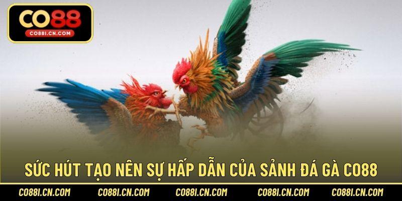 Đá Gà CO88 – Sảnh Cược Chơi Hấp Dẫn Hàng Đầu Năm 2026 - silox