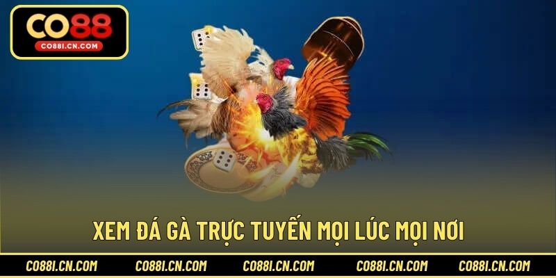 Đá Gà Trực Tiếp - Kênh Giải Trí Hấp Dẫn Cho Hội Viên - silox
