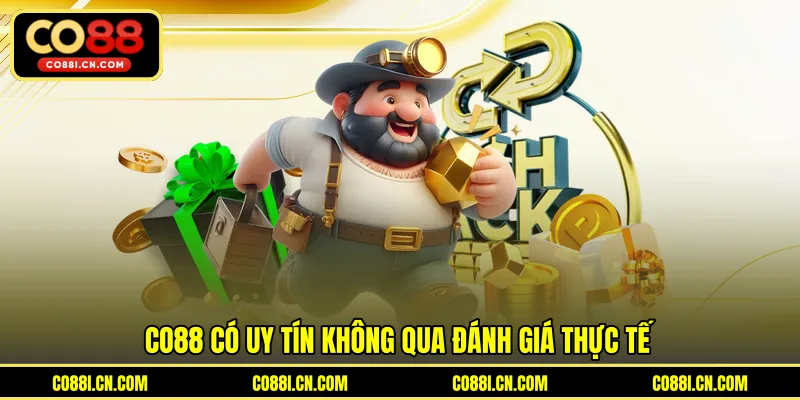 Co88 Có Uy Tín Không - Đánh Giá Chi Tiết Từ Người Chơi Thực Tế - silox