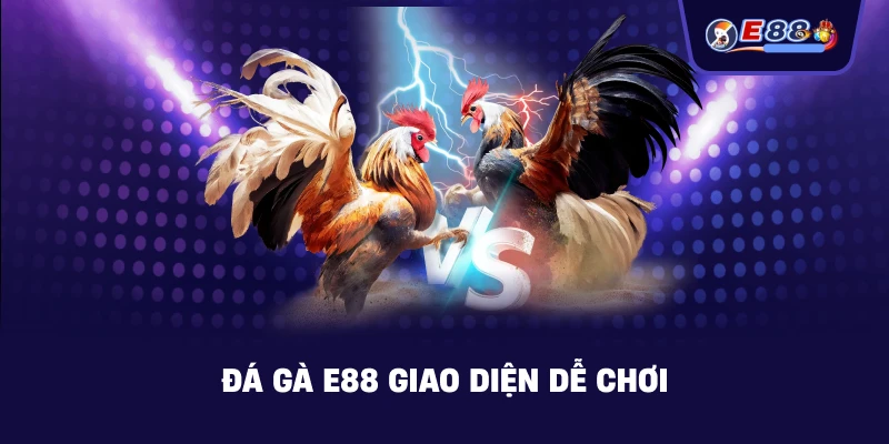 Đá Gà E88: Trải Nghiệm Cược Trực Tuyến Sắc Nét 2026 - silox