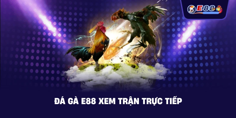 Đá Gà E88: Trải Nghiệm Cược Trực Tuyến Sắc Nét 2026 - silox