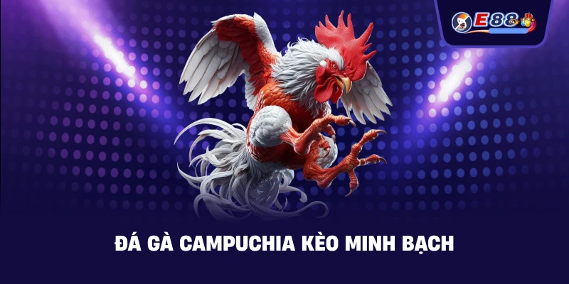Đá gà Campuchia – Trực tiếp kịch tính 2026 - silox