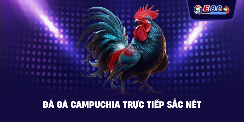 Đá gà Campuchia – Trực tiếp kịch tính 2026 - silox