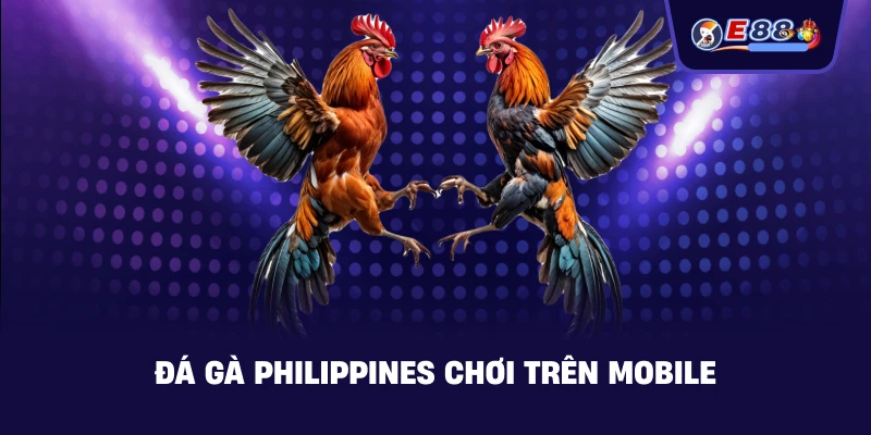 Đá gà Philippines: Cược live tốc độ cao 2026 - silox
