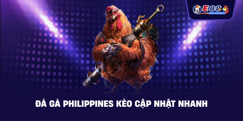 Đá gà Philippines: Cược live tốc độ cao 2026 - silox
