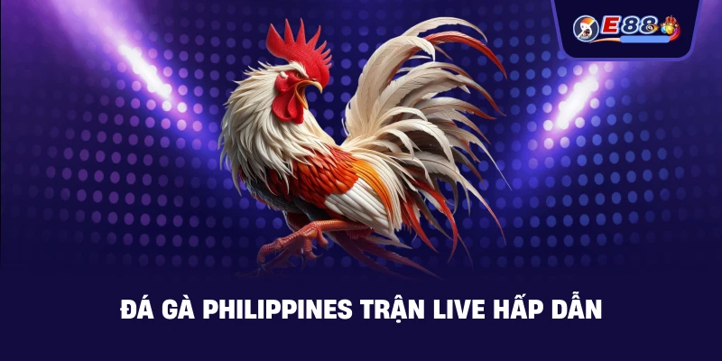 Đá gà Philippines: Cược live tốc độ cao 2026 - silox