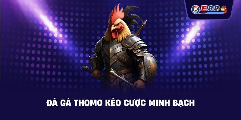 Đá gà Thomo – Trải nghiệm xem trực tiếp hấp dẫn 2026 - silox