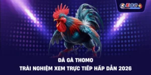 Đá Gà E88: Trải Nghiệm Cược Trực Tuyến Sắc Nét 2026 - silox