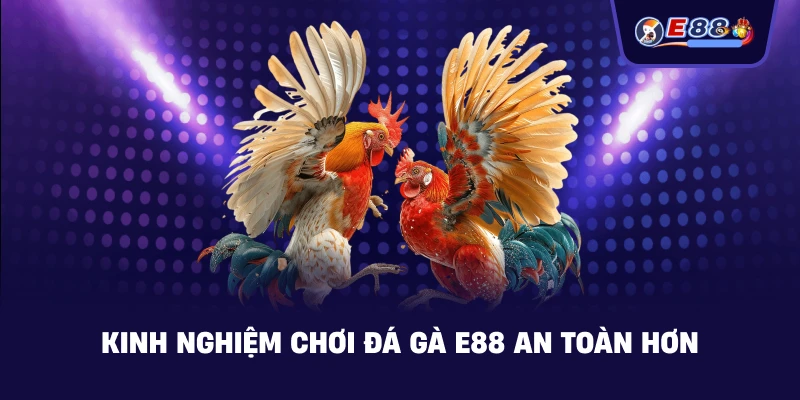 Đá Gà E88: Trải Nghiệm Cược Trực Tuyến Sắc Nét 2026 - silox