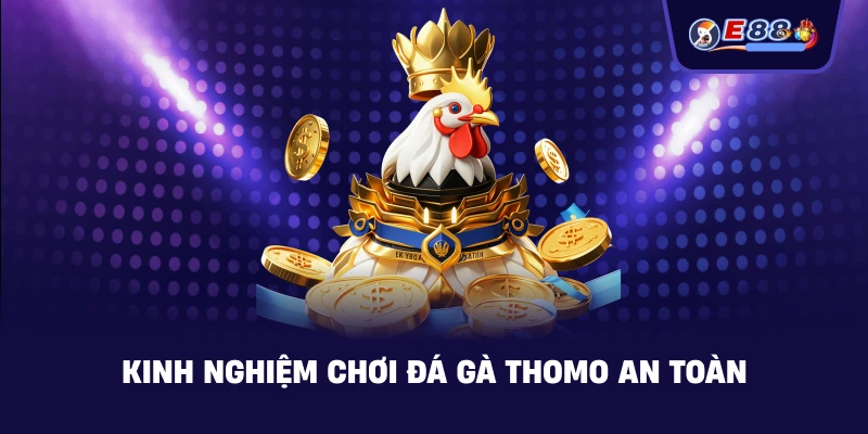 Đá gà Thomo – Trải nghiệm xem trực tiếp hấp dẫn 2026 - silox